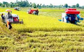 Trình Quốc hội ra Nghị quyết về việc sử dụng đất nông nghiệp khi hết thời hạn sử dụng